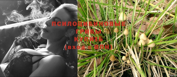 гашик Михайлов