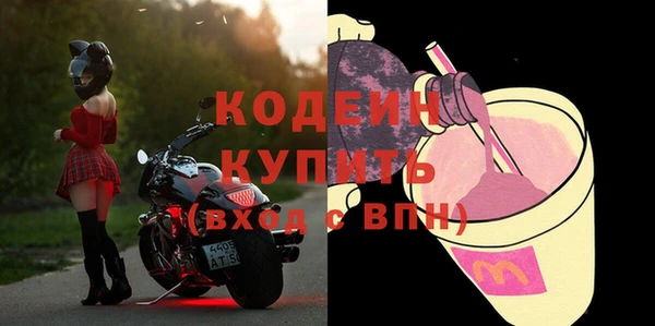 гашик Михайлов