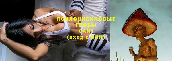 дурь Михайловск