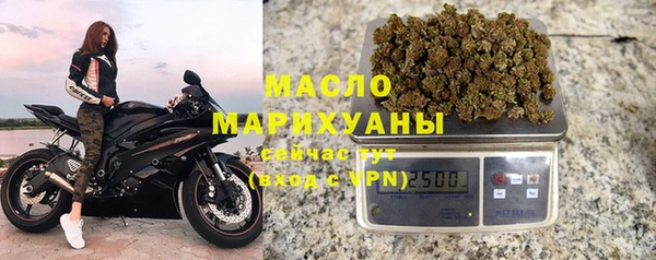 молекула духа Надым