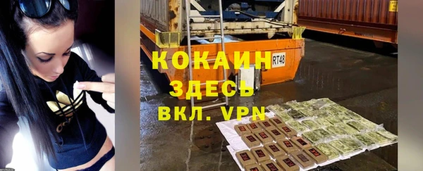 гашик Михайлов