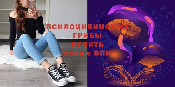 ГАЛЛЮЦИНОГЕННЫЕ ГРИБЫ Михайловка
