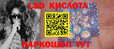 спиды Гатчина
