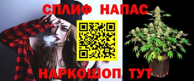 амфетамин Гай