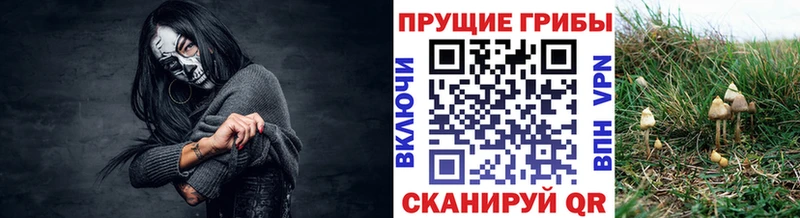 Псилоцибиновые грибы Cubensis продажа наркотиков Заволжье