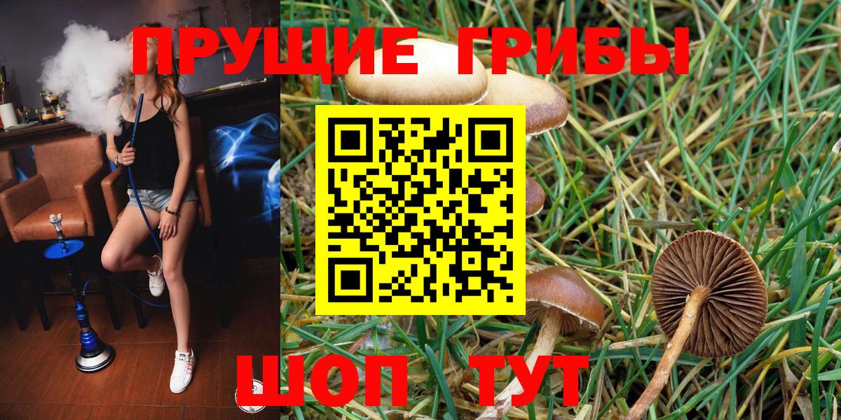 Псилоцибиновые грибы Magic Shrooms  Заволжье 