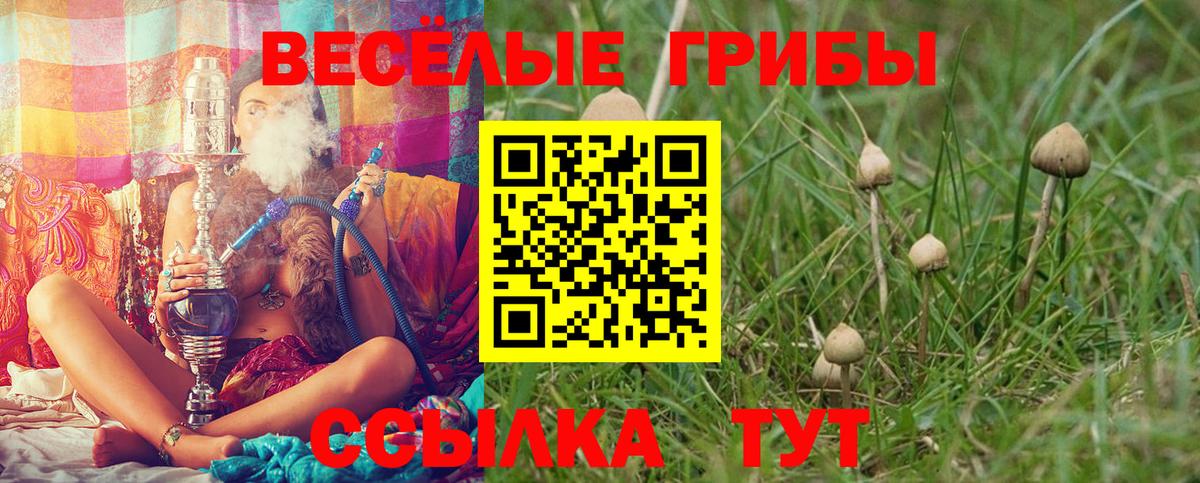 Псилоцибиновые грибы GOLDEN TEACHER  Псилоцибиновые грибы Cubensis  Заволжье  Вход с VPN 