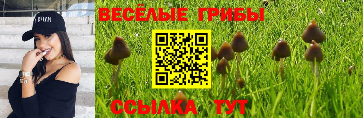 Псилоцибиновые грибы MAGIC MUSHROOMS Заволжье